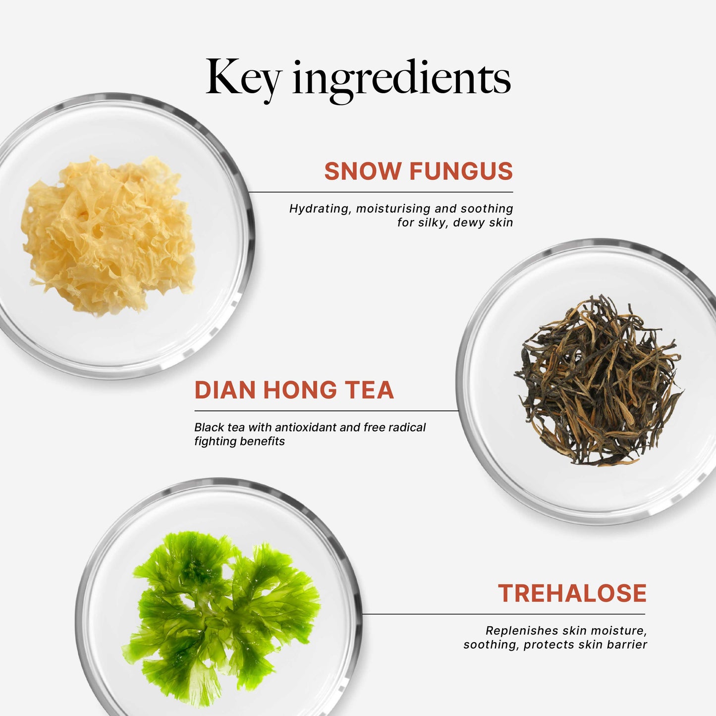 [NEW LAUNCH] CLEF Tea Core Series Gentle Bath Gel & Daily Nourishing Lotion | Body Wash | Shampoo | Body Lotion